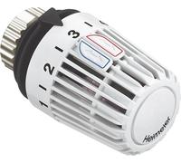 Heimeier testa termostatica K piscine sensore integrato