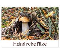 Heimische Pilze (Wandkalender 2027 DIN A3 quer), CALVENDO Monatskalender