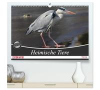 Heimische Tiere (hochwertiger Premium Wandkalender 2026 DIN A2 quer), Kunstdruck in Hochglanz: Tiere die jeder kennt