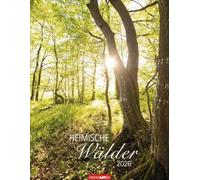 Heimische Wälder Kalender 2026: Hochwertiger Foto-Wandkalender für Naturfreunde: Eine magische Reise durch die Welt der Bäume. Stimmungsvolle Wald-Landschaften im Format 34 x 44 cm