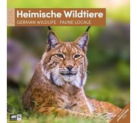 Heimische Wildtiere Broschürenkalender 2026 - 30x30 - Art12 | Bildgewaltiger Tier-Kalender im schlanken Hochformat (aufgeklappt 30x60 cm) | Notizen