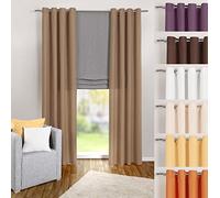 heimtexland ® Tenda con Occhielli, in Tinta Unita, Opaca ma traslucida, 245 x 140 cm, in Microfibra, con Bellissimo Effetto Leggero - Tenda Marrone Chiaro Typ117