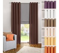 heimtexland® Tenda con Occhielli in Tinta Unita, Oscurante ma Trasparente, da 245 x 140 cm (H x l), in Microfibra, con Bellissimo Motivo Leggero, di Colore Marrone Scuro, Modello n. 117