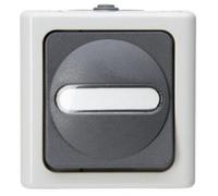EL BE 561456001 - BLUE ELECTRIC - Taster (Wechsler), grau