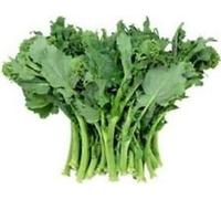 Heirloom cime di rapa inizio autunno Rapini Rabe❋1000 Seeds❋Asparago❋Non OGM