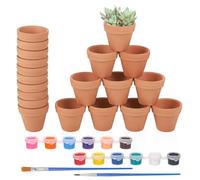 Hejo 20 Pezzi Vasi Terracotta Piccoli,3×3.5cm Vasetti per Piantine,Vasi per Piante da Interno e Da Esterno,Vasi Piante con 2 Pennelli e 12 Pigmenti Colorati,Vasi Piccoli per Piante Grasse(Marrone)