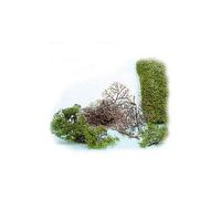 HEKI 1530 Confezione di 15 alberi in kit altezza cm 2-6 (con fogliame Heki Flor)