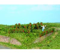 HEKI 19125 Rosenhecken 10 Pezzi E Cespugli 0,7-3 Cm NUOVO