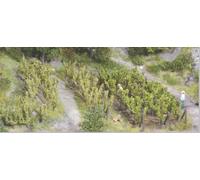 HEKI 19136 Confezione di alberi per vigneto (altezza 2,5 - pezzi 36)