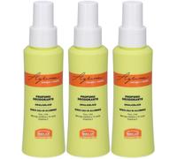 Helan AGRUMEE Profumo Deodorante analcolico 3x100 ml