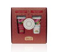 Helan - Cofanetto Collana Rosso D'ambra