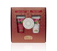 Helan, Collana d'Ambra - Cofanetto Regalo Donna con Shampoo e Bagnoschiuma 2 in 1 e Crema Corpo Idratante Profumata - Idee Regalo Beauty con Vitamina C, E e Olio di Mandorle Dolci, 75 ml Made in Italy