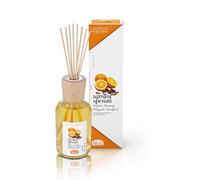 Helan, I profumi della Casa, Bastoncini Aromatici, Agrumi Speziati, 250 mL