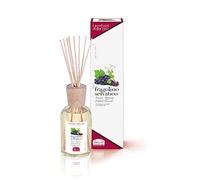 Helan, I Profumi della Casa, Profumatore per Ambienti, Profumo Ambiente con Bastoncini, Fragranza Fragolino Selvatico, Sentori Fruttati e Agrumati, 100 ml - Made in Italy