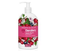 Helan I Sorbetti CherryBerry - Sapone Liquido Mani Profumato Rivitalizzante con Ribes Nero e Amarena, Sapone Mani Gel Detergente Naturale e Delicato con Zuccheri Idratanti per Pelli Sensibili, 500 ml