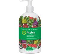 Helan I Sorbetti FicoPop - Sapone Liquido Mani Profumato Tonificante con Anguria e Fico, Sapone Mani Gel Detergente Naturale Delicato con Zuccheri Idratanti e Olio di Cocco per Pelli Sensibili, 500 ml