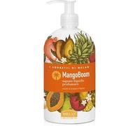 Helan, I Sorbetti MangoBoom - Sapone Liquido Mani Leggero e Profumato con Ananas e Papaya, Arricchito con Ingredienti Naturali per Lavaggi Frequenti, Detergente Liquido Rinfrescante e Delicato 500 ml