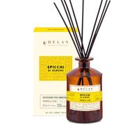 Helan Spicchi di Agrumi - Profumatore per Ambienti, Profumo Ambiente con Bastoncini per Diffusori dalle Note di Arancia Dolce - Idee Regalo Deodorante e Profumatori Ambiente, 500 ml - Made in Italy