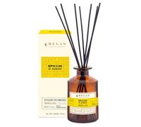 Helan Spicchi di Agrumi - Profumatore per Ambienti, Profumo Ambiente con Bastoncini per Diffusori dalle Note di Arancia Dolce - Idee Regalo Deodorante e Profumatori Ambiente, 200 ml - Made in Italy