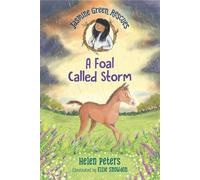 Helen Peters Jasmine Green Rescues: A Foal Called Storm (Copertina rigida)