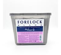 Helen Seward Polvere Decolorante Capelli Rapida Box 24 Bustine Da 25 G