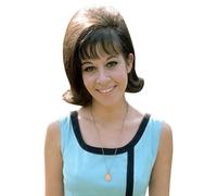Helen Shapiro (Blue Dress) Half Body Buddy Cutout