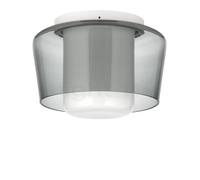 Helestra Canio Lampada da soffitto, grigio