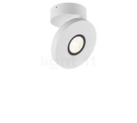 Helestra GOTO faretti, LED, 15/2013.07, GOTO [Lampade per Interni > Punti Luce e Faretti]