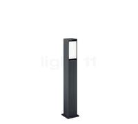 Helestra Isy Paletto luminoso LED