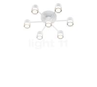 Helestra Kala Lampada da soffitto LED 7 fuochi