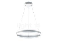 Helestra LIV lampada a sospensione LED, 2900 K, 2 x 36 W Ø60 A: 8,5 cm, 26/1792.07, LIV [Lampade per Interni > Lampade a Sospensione]