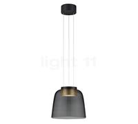 Helestra Oda Lampada a sospensione LED, nero/dorato - con vetro