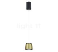 Helestra Ove Lampada a sospensione LED, nero/dorato