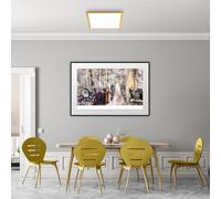 Helestra RACK lampada a soffitto, LED, 15/1954.09, RACK [Lampade per Interni > Lampade a Soffitto]