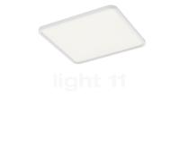 Helestra Vesp Lampada da soffitto LED