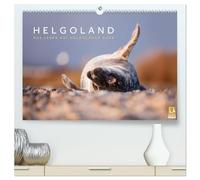 Helgoland - Das Leben auf der Düne Helgolands (hochwertiger Premium Wandkalender 2026 DIN A2 quer), Kunstdruck in Hochglanz: Die Tier- und Naturwelt ... festgehalten in wunderschönen Aufnahmen.
