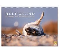 Helgoland - Das Leben auf der Düne Helgolands (Wandkalender 2026 DIN A3 quer), CALVENDO Monatskalender: Die Tier- und Naturwelt der Düne Helgolands festgehalten in wunderschönen Aufnahmen.
