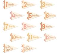 Helilyco Set di 14 striscioni per bambini, in feltro, per feste mensili, primo anno, Hello World e il mio primo compleanno, colore boho