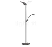 HELL Andy proiettore a soffitto, LED, 60556/2-15, Andy [Lampade per Interni > Lampade a piantana]