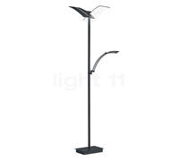 Hell Dual Lampada da terra LED, nero - con lampada da lettura