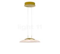 HELL Findus lampada LED sospensione ottone opaco/lucido HELL