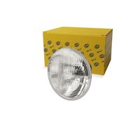 HELLA Gruppo ottico, Faro principale compatibile con DAIHATSU FIAT IVECO MACK