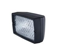 Fari da lavoro HELLA 1GA 005 060-041