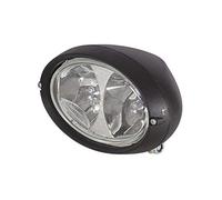 HELLA Faro da lavoro compatibile con DAF AGRIFAC 1GA 996 361-011