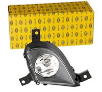 HELLA 1N0 010 084-011 FF-Fendinebbia ECE/SAE/CCC, Sx | Compatibile con: BMW 3, 3 Touring