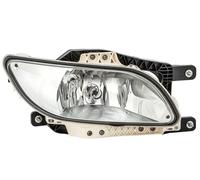 HELLA 1ND 010 223-321 Fendinebbia per DAF