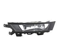 HELLA 1ND 012 998-011 FF-Fendinebbia ECE, Sx