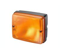 HELLA 2BA 003 236-088 Indicatore direzione - Lampadine - per es. SETRA Series 300 - ECE/ADR/GGVS - Sx/Dx