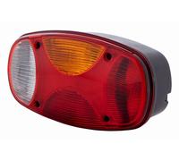 HELLA 2VP 343 640-247 Luce Posteriore - Cargoluna - Lampadina - 24V