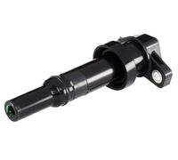 HELLA 5DA 193 175-961 Bobina d'accensione, 12V, 2a... poli, Bobina di accensione cavità candela, avvitato